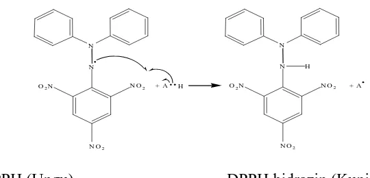 Gambar 2. Reaksi Radikal DPPH dengan Antioksidan (Windono et al, 2001). 