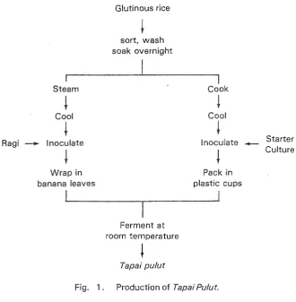 Fig. 1 . 