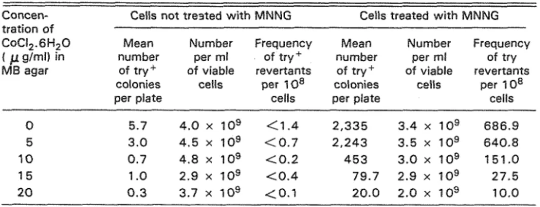 Table  4.  Effects  of cobalt chloride  on lethality and mutation induction i n   E.  coli  B/r  WP2  try-  cells previously treated or not treated with MNNG ( 6 0  p g l m l  for 3 0  mins)