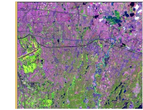 Gambar 1  Citra Landsat 7 ETM+ band 543 area Kota Bekasi tahun 2003 