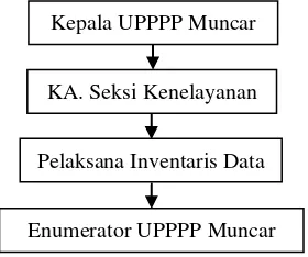 Gambar 5 Struktur organisasi pendataan UPPPP Muncar 