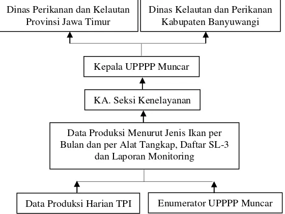 Gambar 9 Aliran data UPPPP Muncar 
