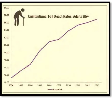 Figure 1.1: Graph of unintentional fall death rate [4]  