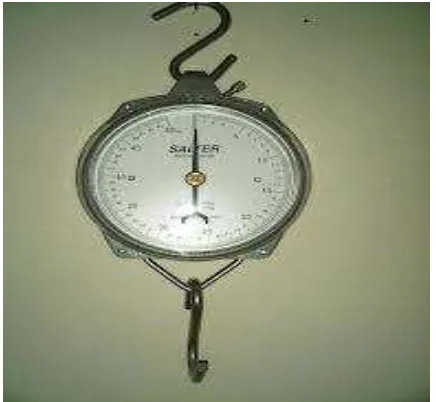 Gambar 13Timbangan Salter                                                             