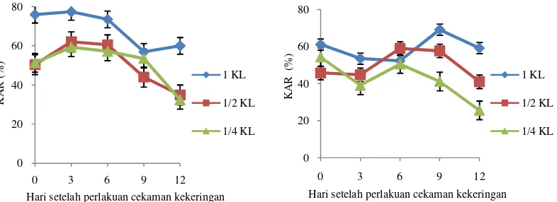 Gambar 1 Kadar air relatif (KAR) daun padi Situ Patenggang (kiri) dan padi Gogo Wangi(kanan) selama 0-12 hari cekaman kekeringan.