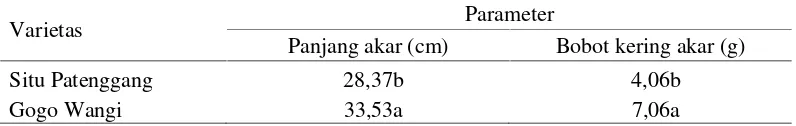 Tabel 1 Tinggi tanaman padi Situ Patenggang (125 HST) dan padi Gogo Wangi (165HST) pada berbagai cekaman kekeringan saat panen