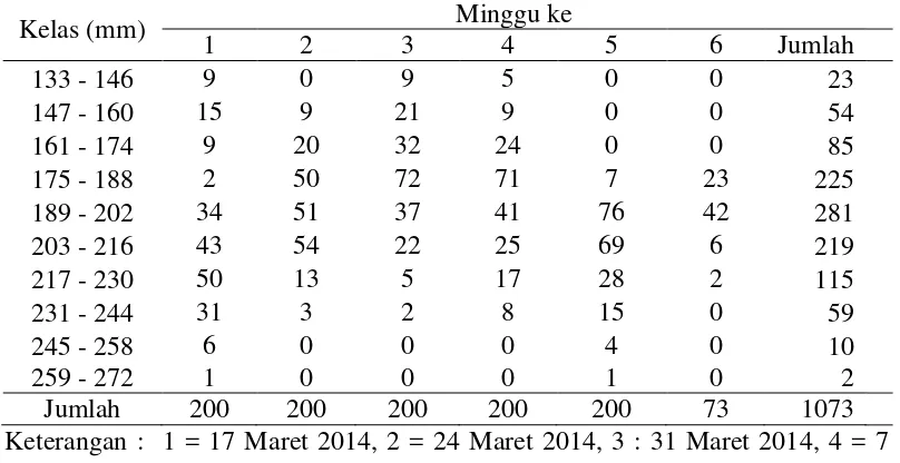 Tabel 3 Sebaran frekuensi panjang ikan kembung lelaki (Rastrelliger kanagurta)  pada Maret – April 2014 