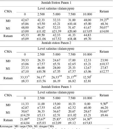 Tabel 2.  Rataan Jumlah Stolon Panen 1, 2 dan 3 Cynodon dactylon  (buah). 