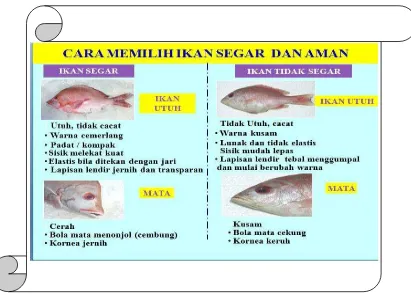 gambar bisa anda lihat perbedaan antara ikan segar dan ikan tidak 
