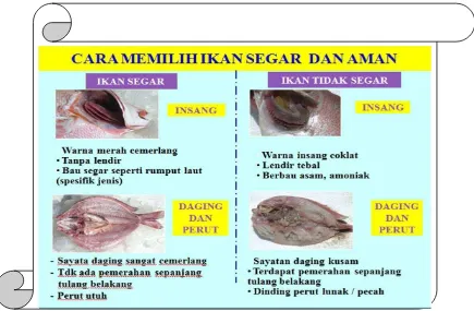 Gambar 5. Penilaian Organoleptik dari Penampakan Insang , Daging  dan Perut 
