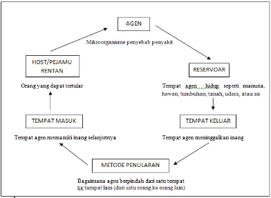 Gambar 3. Siklus infeksi nosokomial (Depkes RI, 2007) 