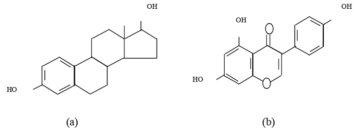 Gambar 4.  Struktur Isoflavon.  (a) Estradiol  (b) Genistein yang Terdapat pada           