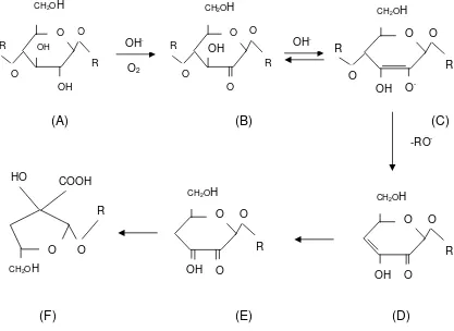 Gambar 2.3. Reaksi Degradasi Selulosa oleh Hidroksil dan Superoksida Radikal 