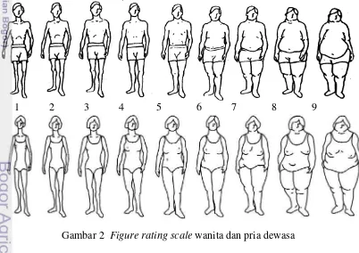 Gambar 2  Figure rating scale wanita dan pria dewasa 