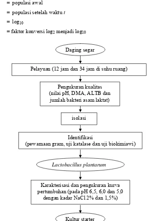 Gambar 2.  Bagan Alir Prosedur Isolasi, Identifikasi dan Karakterisasi L. plantarum 