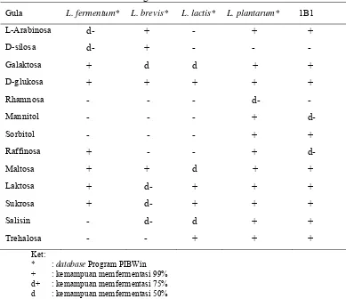 Tabel 4.  Karakteristik Biokimiawi 1B1 dan Spesies Lain Hasil Isolasi Berdasarkan Program PIBWin 