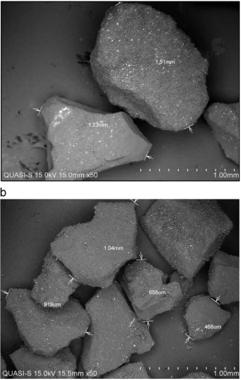 Fig. 1. SEM micrograph of PKAC particles (a) before and (b) after sieving.
