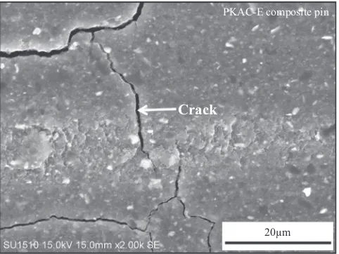 Fig. 9. SEM micrograph of wear debris generated after the sliding test.