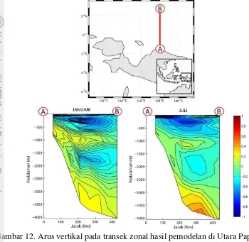 Gambar 12. Arus vertikal pada transek zonal hasil pemodelan di Utara Papua pada 
