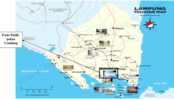 Gambar 2. Peta Lampung Selatan(Google satellite map, 2006) 