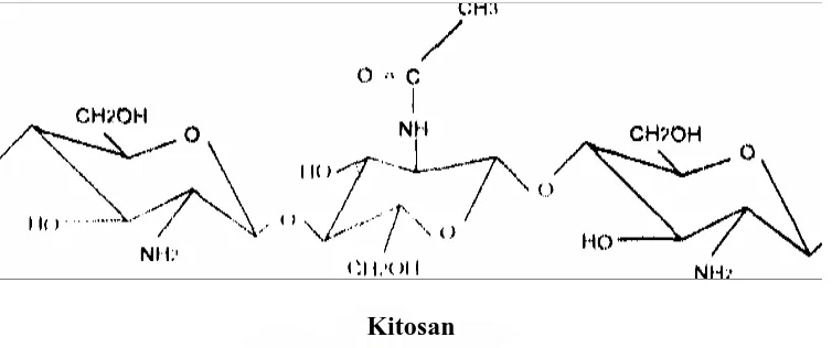 Gambar 2.1. Struktur Kitin dan Kitosan (sumber:Brine, 1984)  
