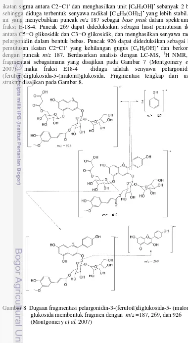 Gambar 8  Dugaan fragmentasi pelargonidin-3-(feruloil)diglukosida-5- (malonil) 