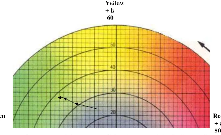Gambar 22.  Perubahan warna (nilai a dan b) buah jambu biji  pada kemasan karton tanpa perlakuan sortasi yang disimpan pada + a 
