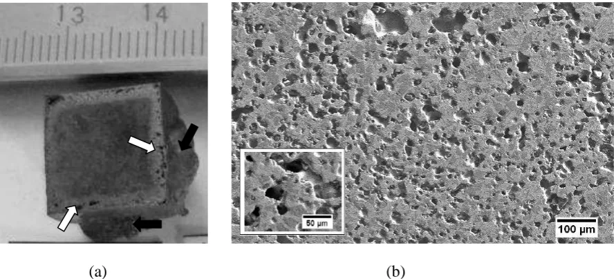 Figure 4.  Image of specimen isothermally foamed titanium alloy at 1350oC (a), secondary electron micrograph showing pore morphology of a specimen foamed at 1350oC/0,86 MPa/10 hours (38,5%)(b)