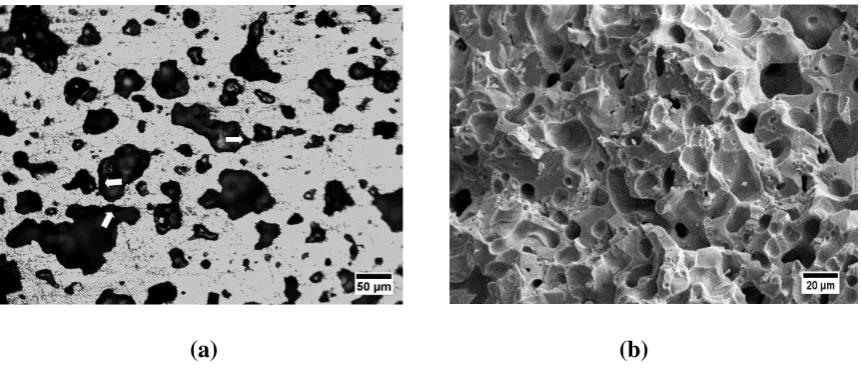 Figure 7.  Optical micrograph showing early stage of pore coalescence during isothermal foaming at 1350oC/0,86MPa/10 hours (a), fracture surface of foamed specimen showing faceted mode of failure and acomplished sintered alloy (b) 