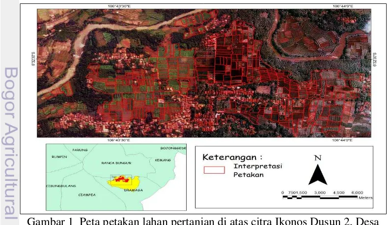 Gambar 1  Peta petakan lahan pertanian di atas citra Ikonos Dusun 2, Desa 