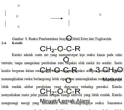 Gambar  8. Reaksi Pembentukan Senyawa Metil Ester dari Trigliserida 