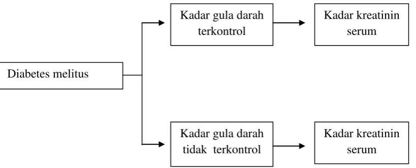Gambar 2. Kerangka Konsep 