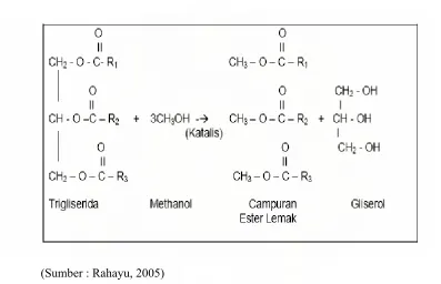 Gambar 2.2  Reaksi Transesterifikasi 