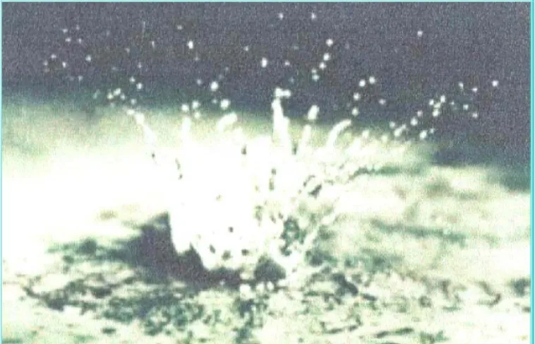 Gambar 3.1. Energi butir hujan yang jatuh di permukaan tanah 