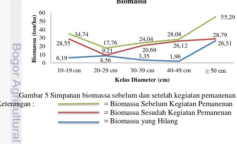 Gambar 5 Simpanan biomassa sebelum dan setelah kegiatan pemanenan 