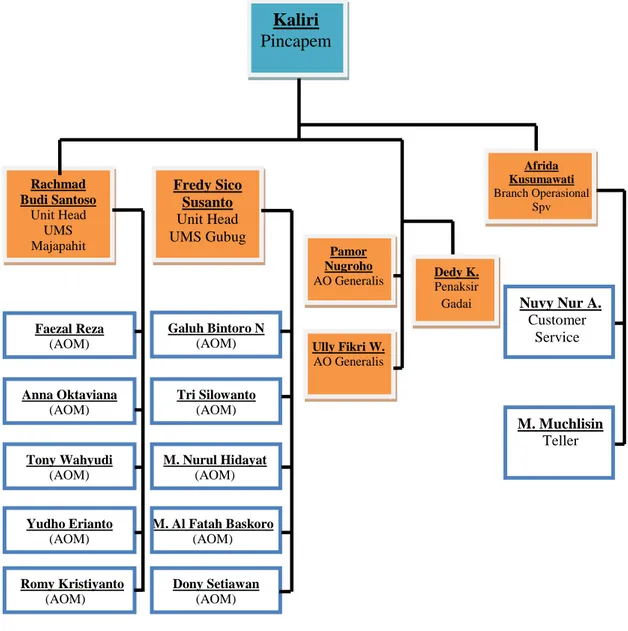Gambar 1.1   Struktur Organisasi 