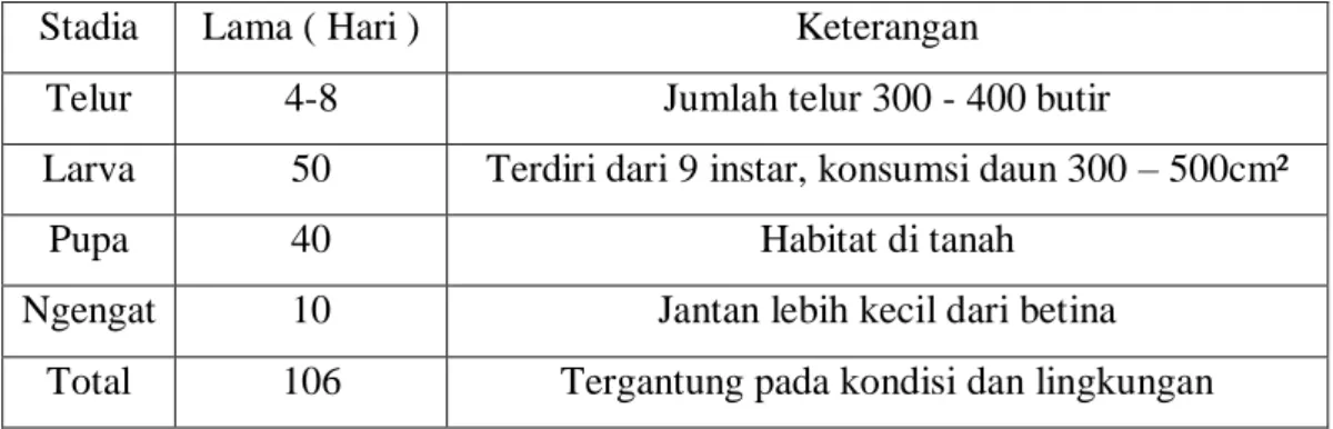 Tabel 2.1.2. Siklus hidup S.  asigna 