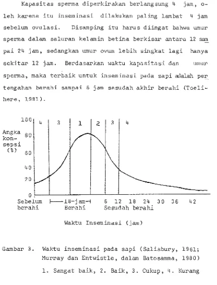 Gambar 3. Waktu inseminasi pada sapi (Salisbury, 1961; 