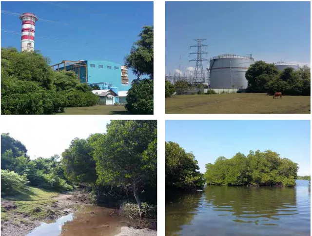 Gambar 2.  Kondisi Lingkungan hidup di kawasan daratan dan perairan                     yang terkena dampak operasional PLTG Gilimanuk