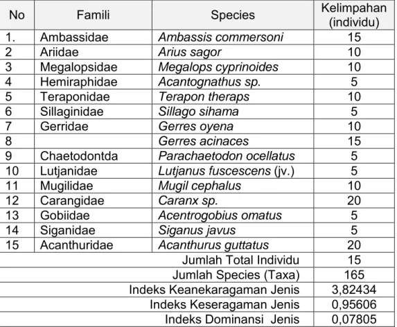 Tabel 3.4  Komposisi jenis ikan hasil tangkapan per sapuan area di                     perairan Teluk Gilimanuk sekitar lokasi pembuangan                      limbah PLTG Gilimanuk 
