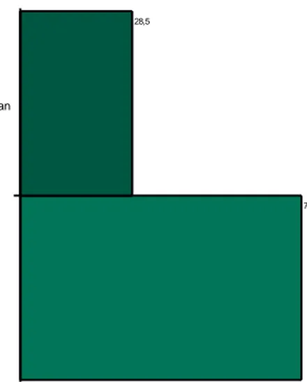 Gambar 1. Diagram Perbandingan jumlah presentase   antara responden laki-laki dan perempuan 