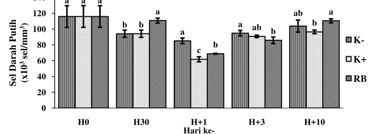 Gambar 4 Rata-rata jumlah sel darah putih (sel/mm3) ikan lele Clarias sp. 