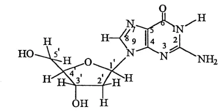 Gambar 3.  Struktur nukleosida guanosin.  