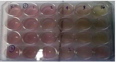 Gambar 4.  Multi well plate tissue’s culture (Sulistriani, 2012). 