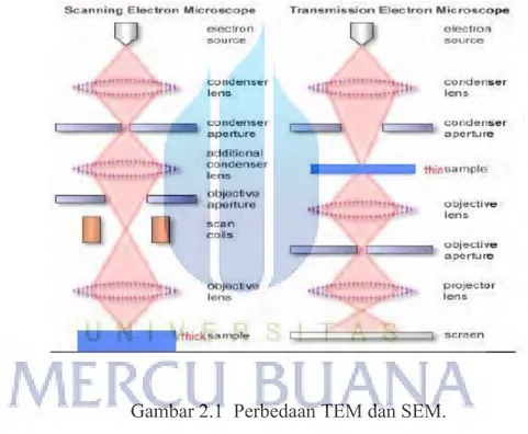 Gambar 2.1  Perbedaan TEM dan SEM. 