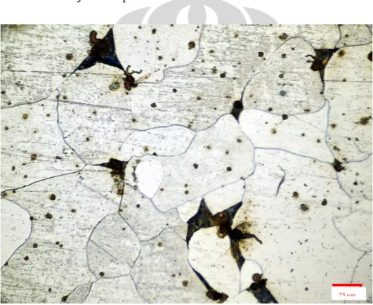 Gambar 4.15 sampai 4.27 menampilkan struktur mikro ferit hasil  perlakuan panas dan deformasi panas