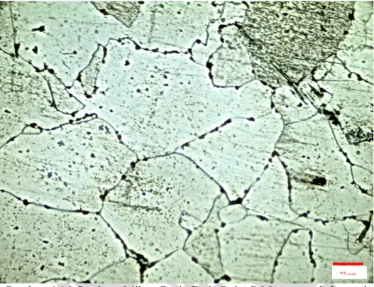 Gambar 4.16 Struktur Mikro Butir Ferit Baja C-Mn tanpa deformasi  pada temperatur T 1  960 °C