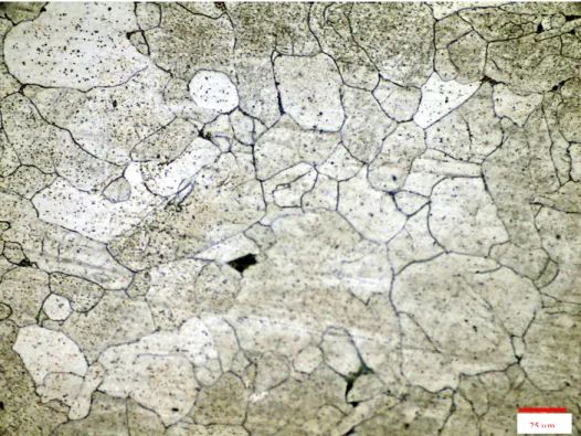 Gambar 4.18 Struktur Mikro Butir Ferit Baja C-Mn setelah Deformasi  Panas, dengan ε 0,1, pada temperatur T 1  1060 °C dengan waktu tahan   t 5 detik