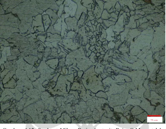 Gambar 4.12 Struktur Mikro Butir Austenit Baja C-Mn setelah  Deformasi Panas, dengan ε 0,2, pada temperatur T 1  960 °C dengan  waktu tahan  t 1 detik