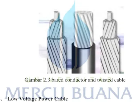 Gambar  2.3 bared conductor and twisted cable 